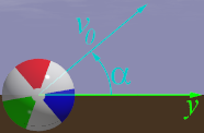 Launch Parameters