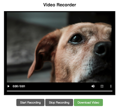 Video Recorder